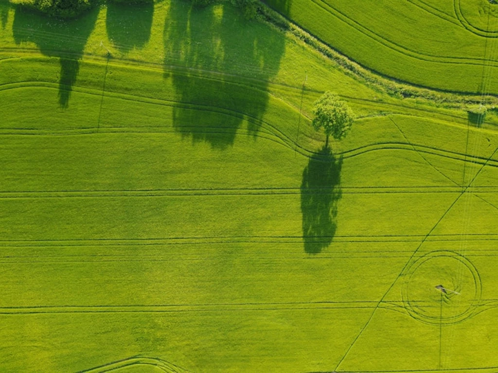 green-deal